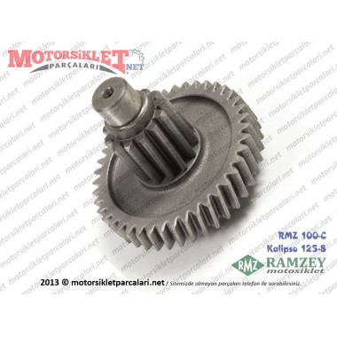 Ramzey RMZ 100-C, Kalipso 125-8 Şanzıman Aktarma Dişlisi - 42 Diş